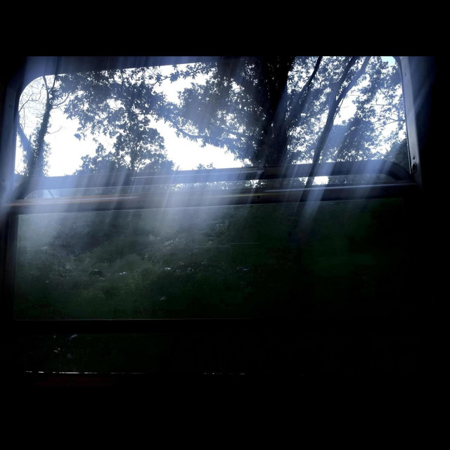 Pale Light Artwork